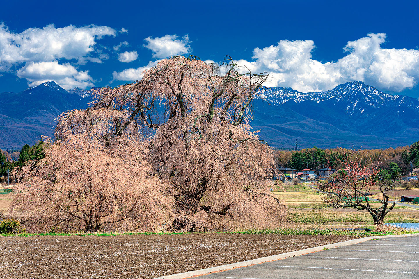 スクリーン製版の芳沢スクリーン